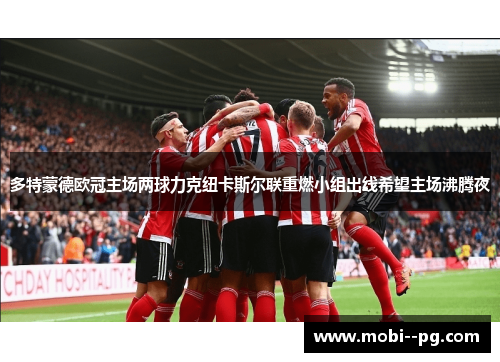 多特蒙德欧冠主场两球力克纽卡斯尔联重燃小组出线希望主场沸腾夜