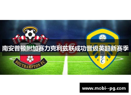 南安普顿附加赛力克利兹联成功晋级英超新赛季