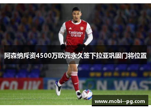 阿森纳斥资4500万欧元永久签下拉亚巩固门将位置